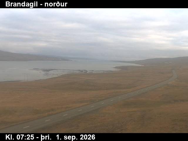 brandagil_3-1788254769.jpg