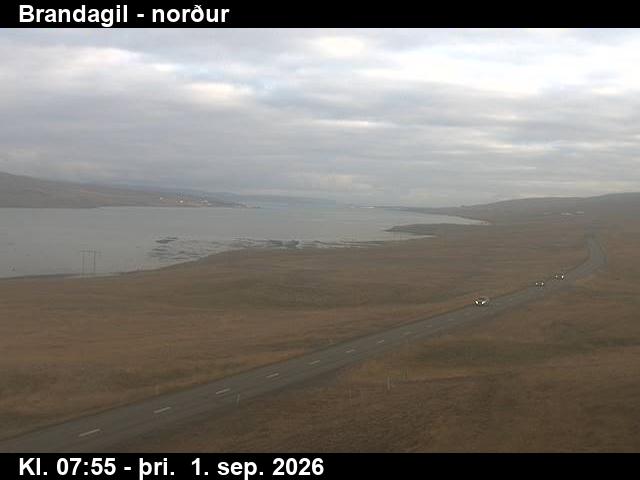brandagil_3-1788256939.jpg
