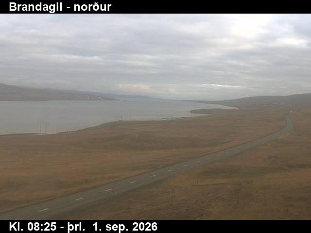 brandagil_3-1788258494.jpg