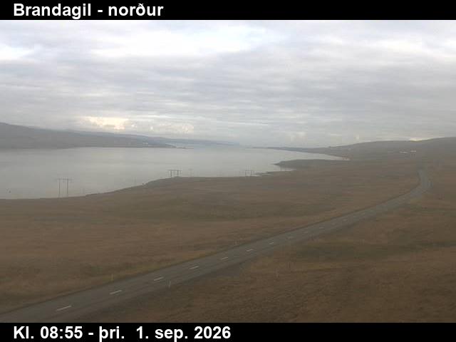 brandagil_3-1788260498.jpg