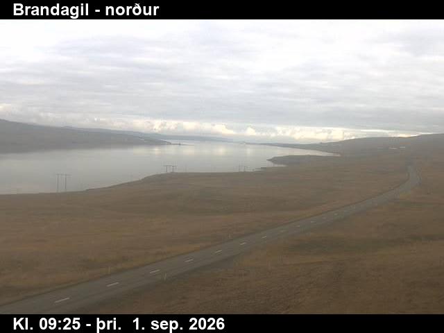 brandagil_3-1788261936.jpg