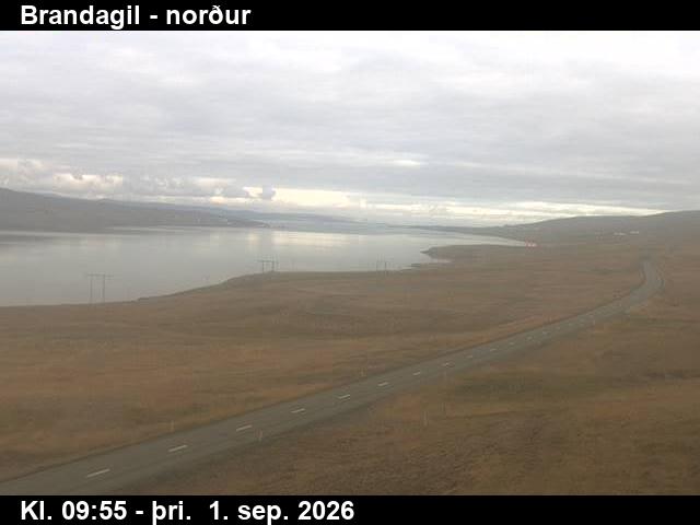 brandagil_3-1788264119.jpg