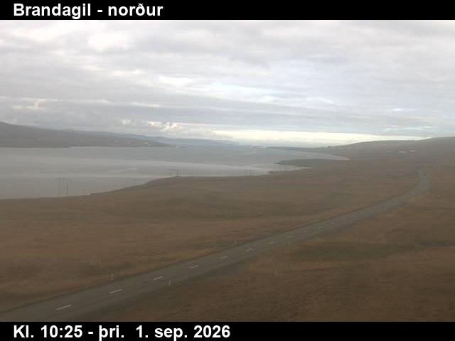 brandagil_3-1788265567.jpg