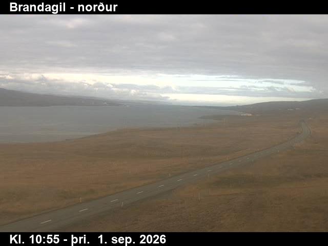 brandagil_3-1788267783.jpg