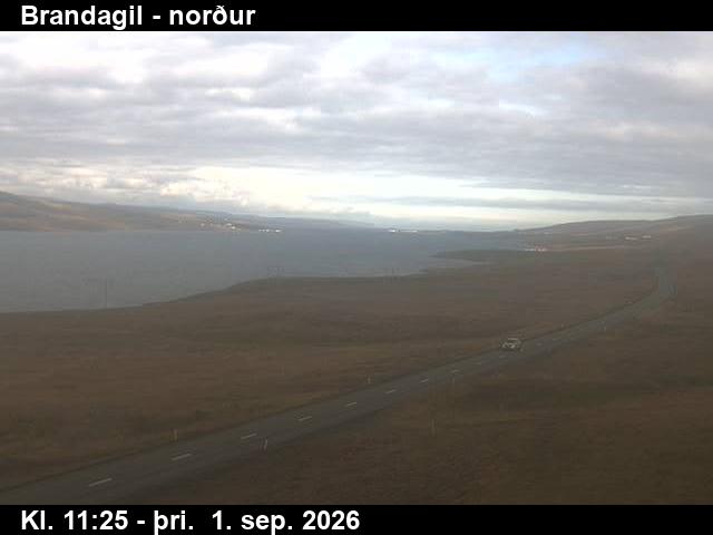 brandagil_3-1788269150.jpg