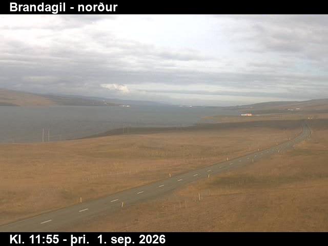 brandagil_3-1788271231.jpg