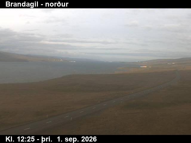 brandagil_3-1788272778.jpg
