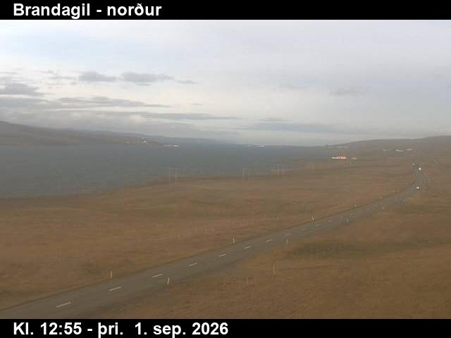 brandagil_3-1788274844.jpg