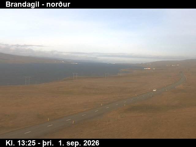 brandagil_3-1788276375.jpg