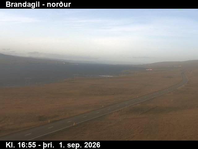 brandagil_3-1788289324.jpg