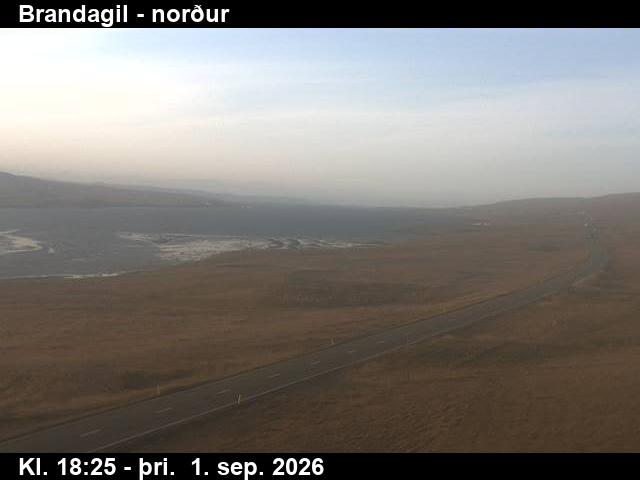 brandagil_3-1788294336.jpg