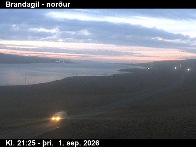 brandagil_3-1788305134.jpg