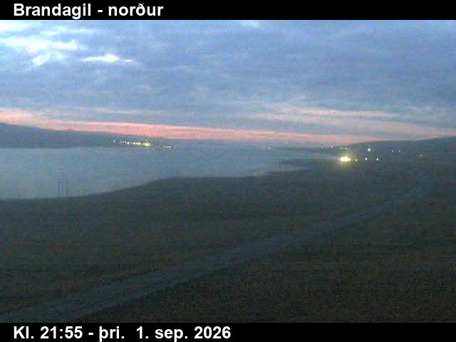 brandagil_3-1788307297.jpg