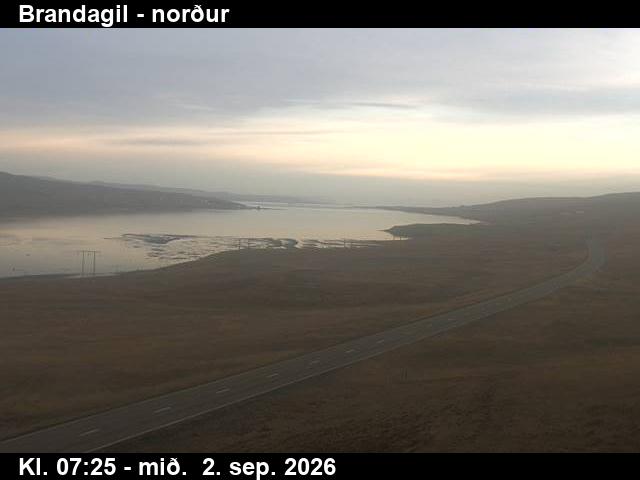 brandagil_3-1788341168.jpg