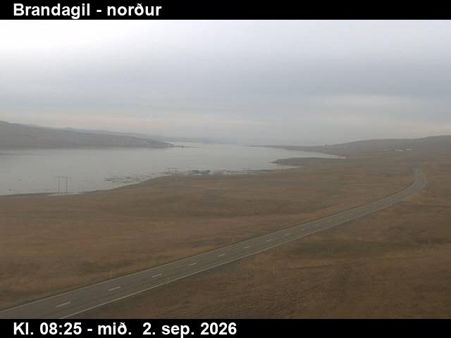 brandagil_3-1788344774.jpg
