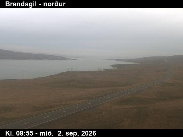 brandagil_3-1788346941.jpg