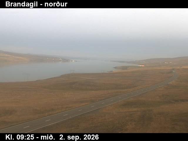 brandagil_3-1788348360.jpg