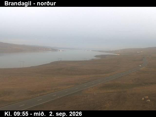 brandagil_3-1788350504.jpg