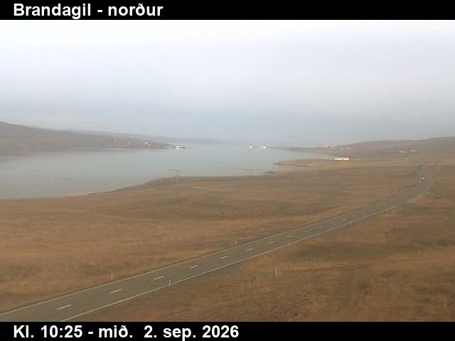 brandagil_3-1788351938.jpg