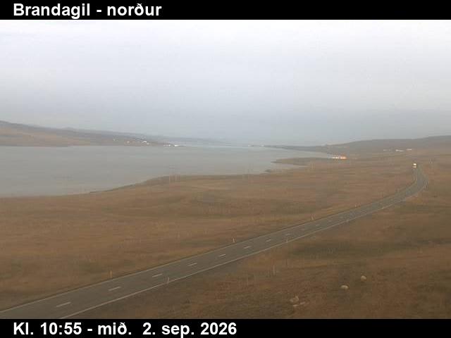 brandagil_3-1788354190.jpg