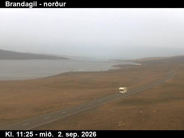 brandagil_3-1788355533.jpg