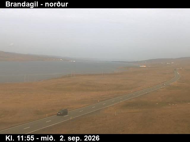 brandagil_3-1788357670.jpg