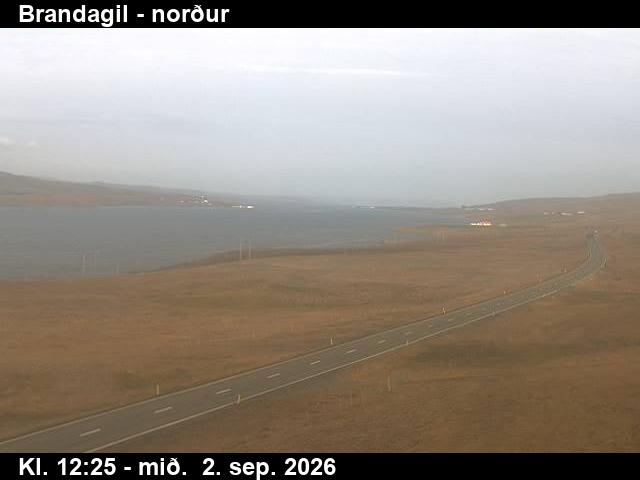 brandagil_3-1788359127.jpg