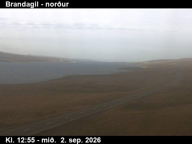 brandagil_3-1788361255.jpg