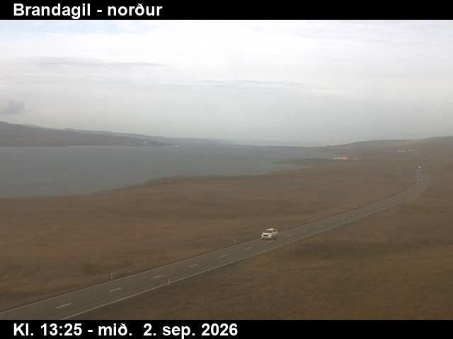 brandagil_3-1788362750.jpg