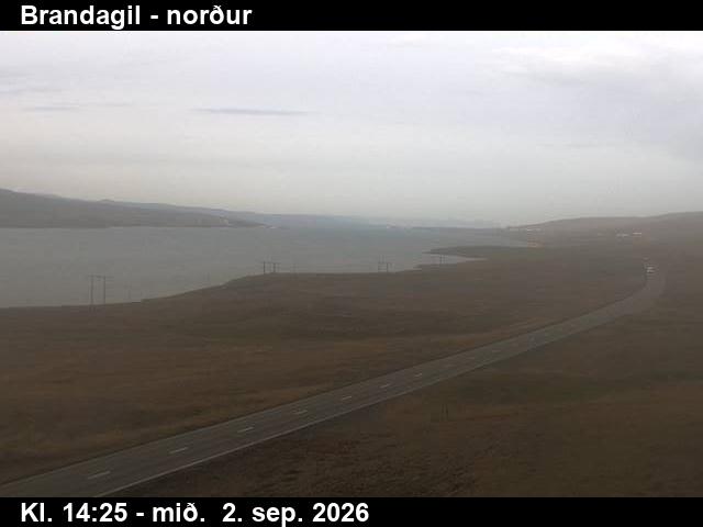 brandagil_3-1788366388.jpg