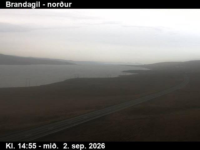 brandagil_3-1788368484.jpg