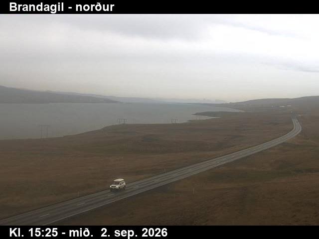 brandagil_3-1788369937.jpg
