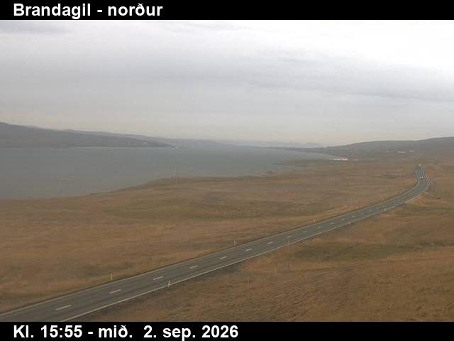 brandagil_3-1788372143.jpg