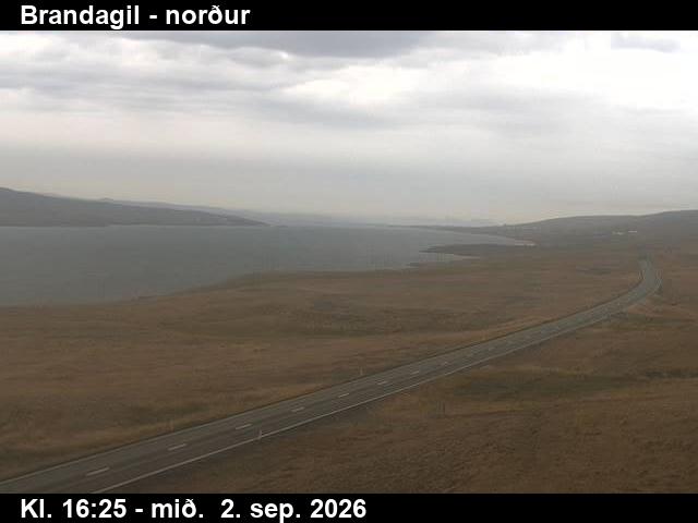brandagil_3-1788373539.jpg