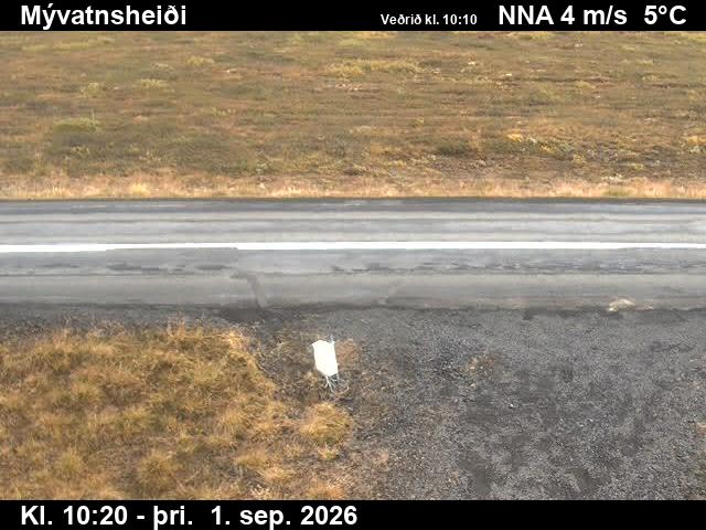 myvatnsheidi_2-1788265565.jpg
