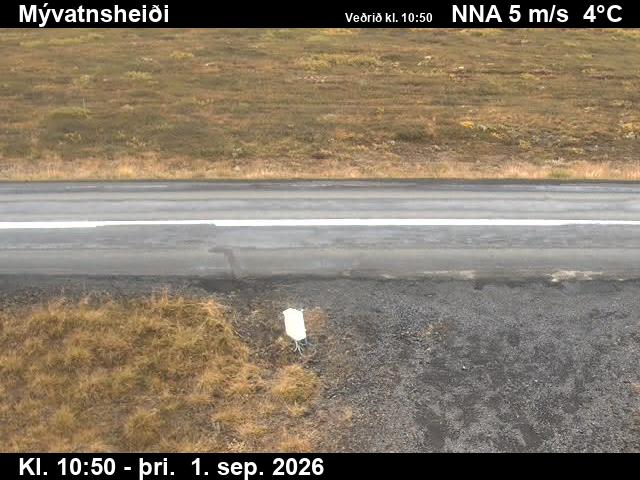 myvatnsheidi_2-1788267668.jpg