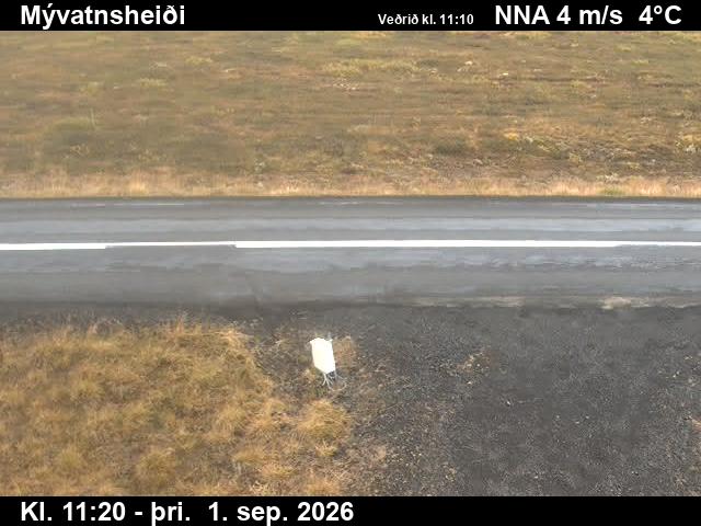 myvatnsheidi_2-1788269150.jpg