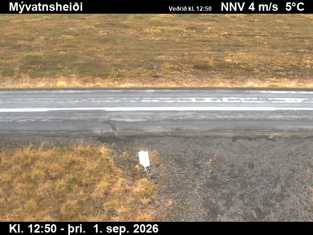 myvatnsheidi_2-1788274842.jpg