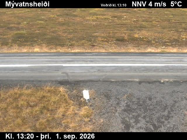 myvatnsheidi_2-1788276374.jpg