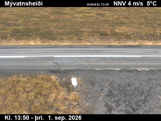 myvatnsheidi_2-1788278557.jpg