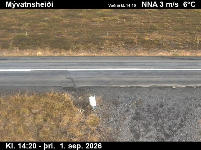 myvatnsheidi_2-1788279956.jpg