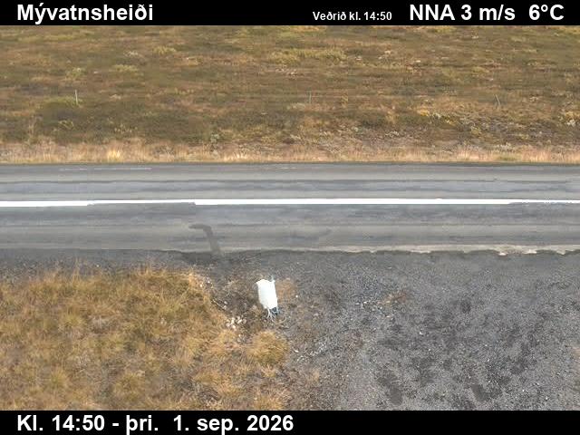myvatnsheidi_2-1788282107.jpg