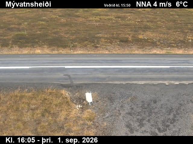 myvatnsheidi_2-1788285976.jpg