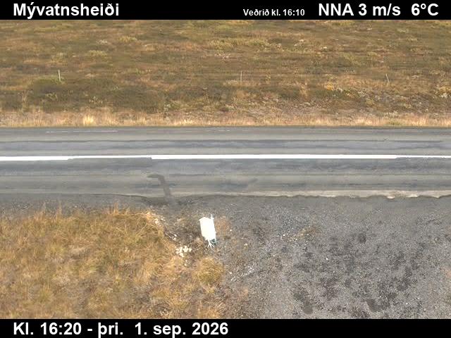 myvatnsheidi_2-1788287139.jpg