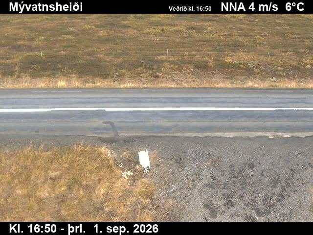 myvatnsheidi_2-1788289324.jpg
