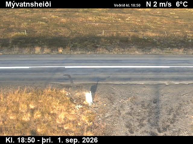 myvatnsheidi_2-1788296762.jpg