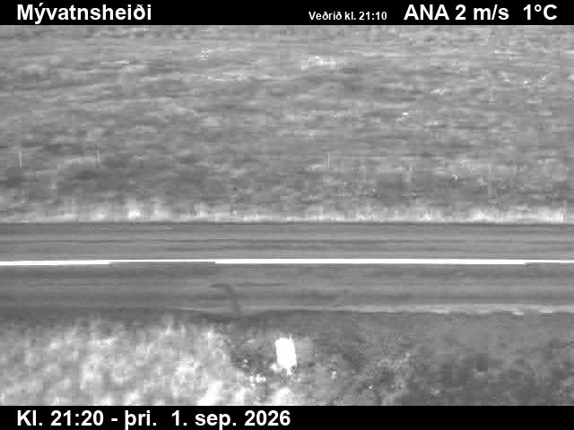 myvatnsheidi_2-1788305134.jpg