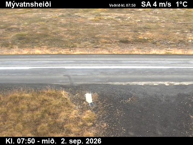 myvatnsheidi_2-1788343270.jpg