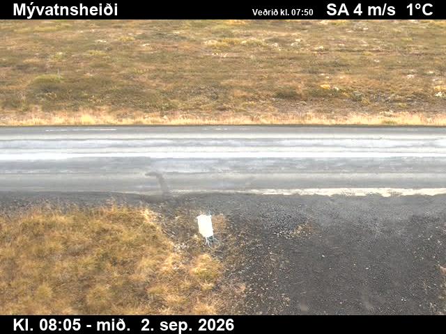 myvatnsheidi_2-1788343575.jpg
