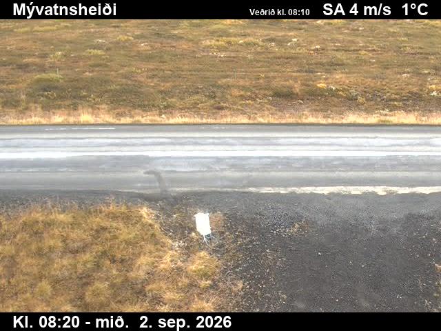 myvatnsheidi_2-1788344772.jpg